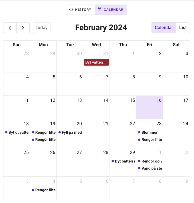 Example of calendar view